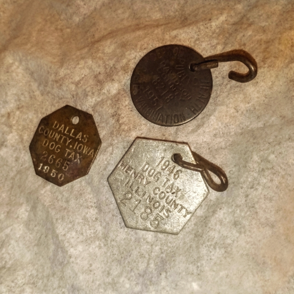 3 Old Pet Dog Tags